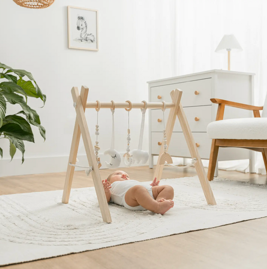 Comfy Cubs Foldable Baby Play Gym